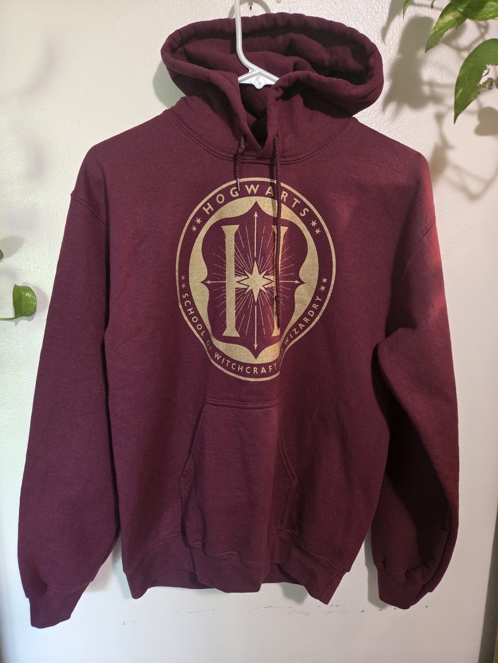 Hogwarts Compass School Of Witchcraft And Wazardry Small Maroon Hoodie